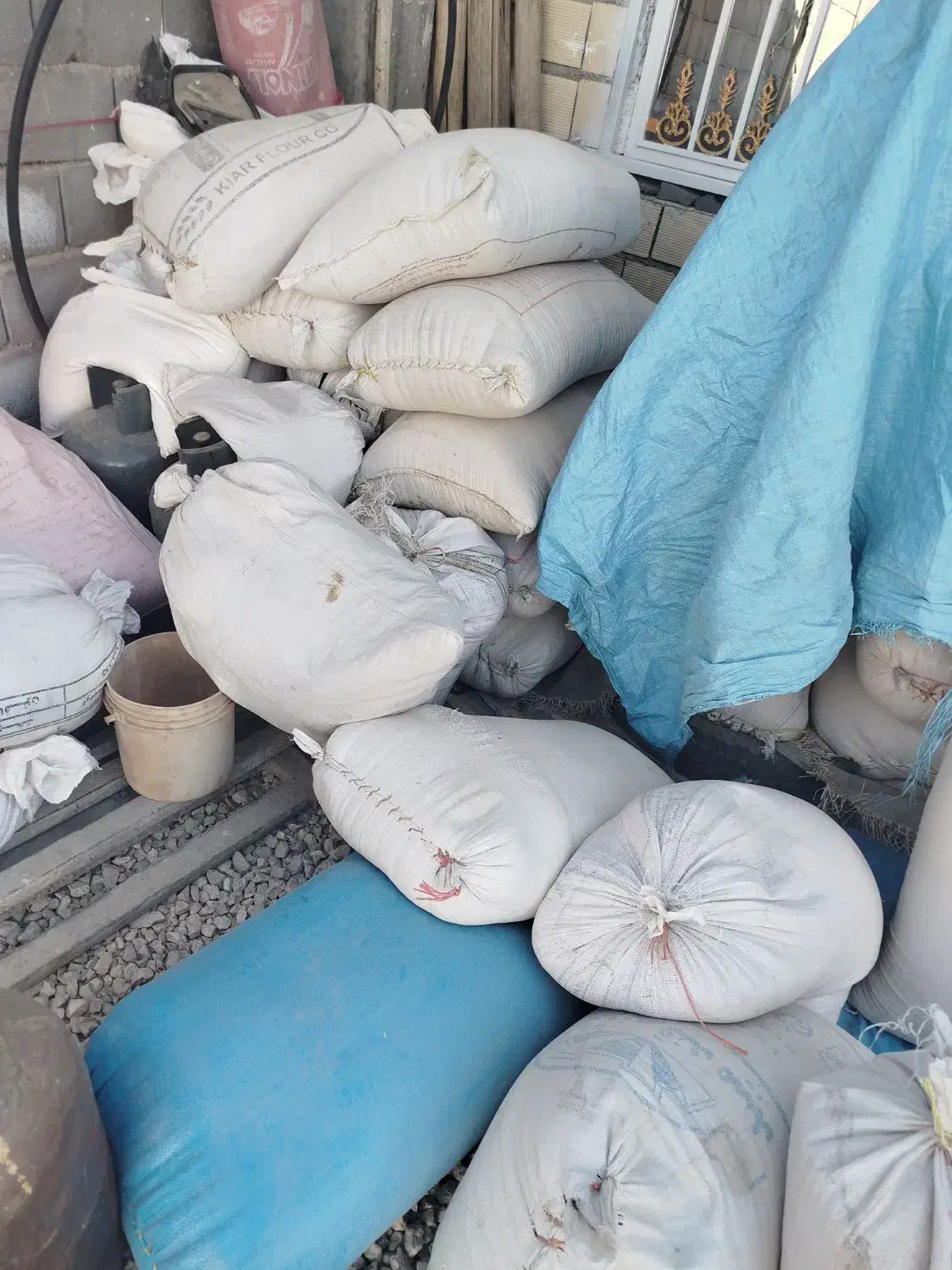 فروش جوگندم درخدمت دام داران هستیم|حیوانات مزرعه|لردگان, |دیوار