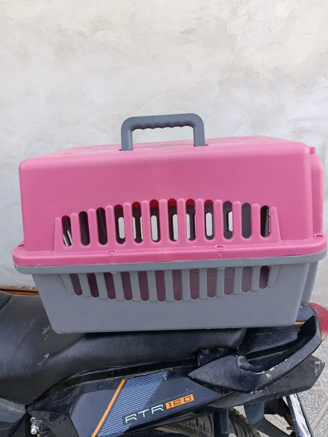 باکس|لوازم جانبی حیوانات|رضویه, |دیوار