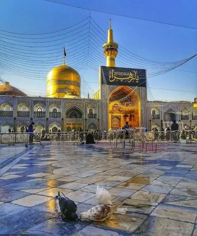 تور ریلی مشهد مقدس|تور و چارتر|نسیمشهر, |دیوار