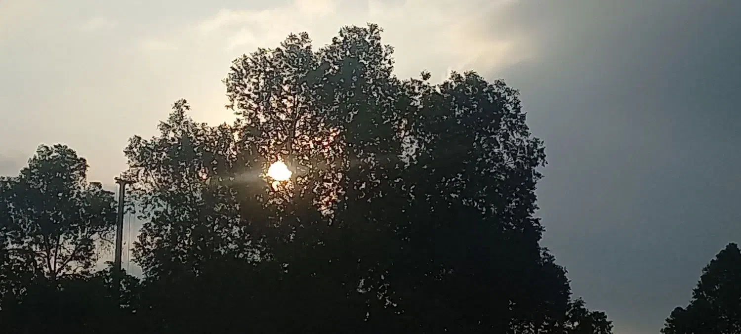 فروش زمین کشاورزی|فروش دفتر صنعتی، کشاورزی، تجاری|رودان, |دیوار