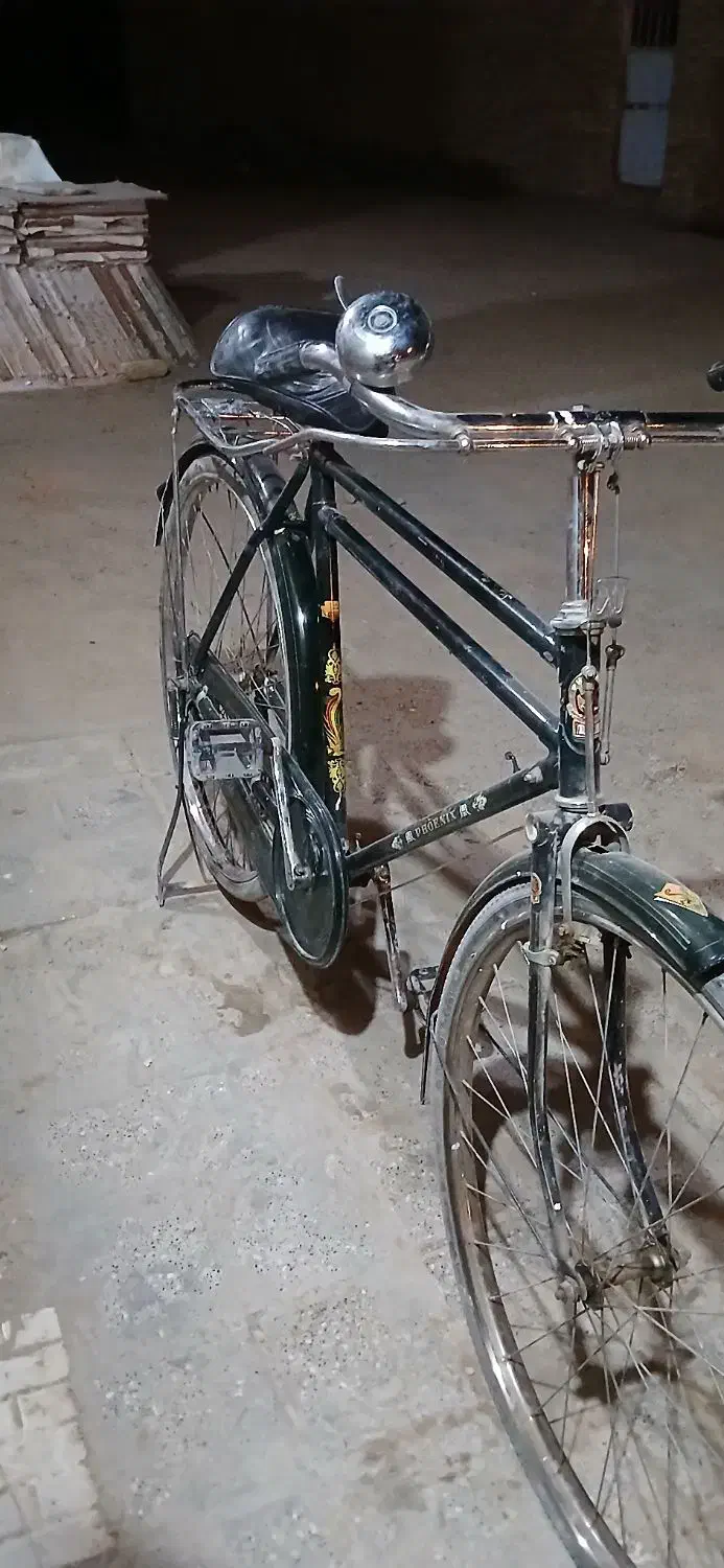 دوچرخه چینی سالم|دوچرخه، اسکیت، اسکوتر|اشکذر, |دیوار