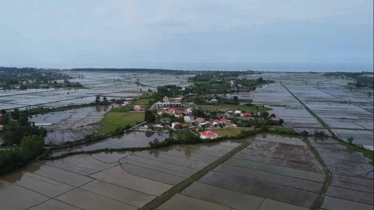 ۳۰۰ متر زمین مسکونی|فروش زمین و ملک کلنگی|پره‌سر, |دیوار