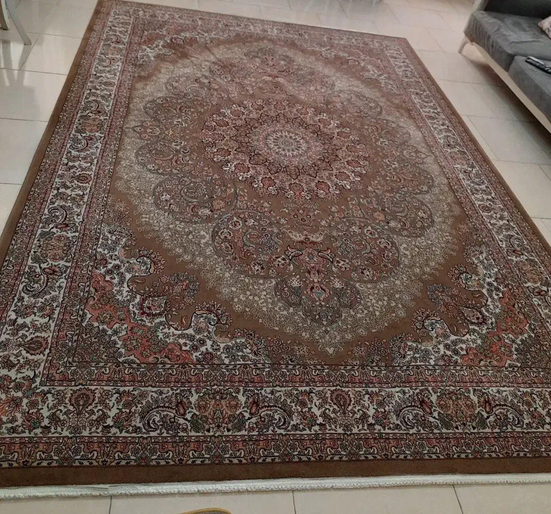 فرش|فرش|رشت, سیا اسطلخ|دیوار