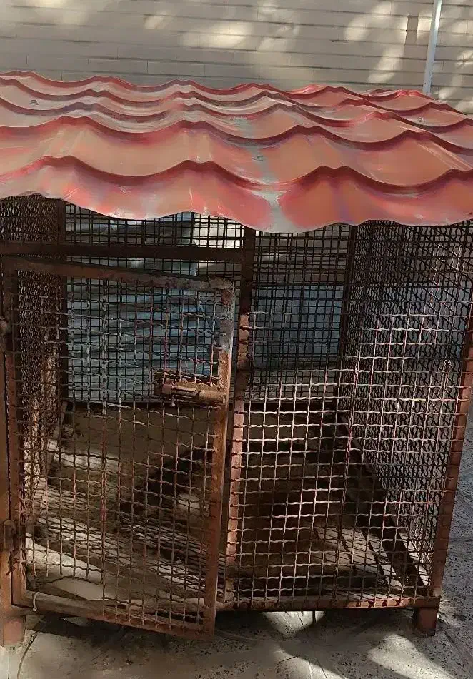 قفس و لانه حیوانات|لوازم جانبی حیوانات|فولادشهر, B2|دیوار