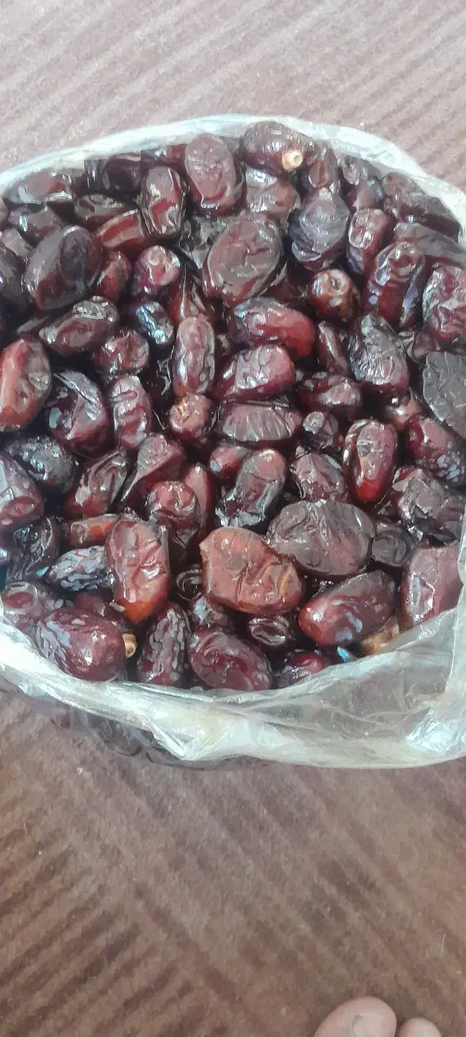 خرمای جنوب تازه امسال|خوردنی و آشامیدنی|قم, شهرک امام حسین|دیوار
