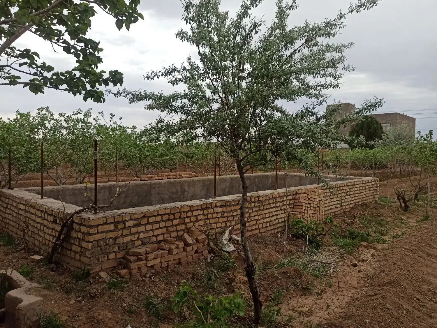 زمین بهرامیه حاشیه جاده|فروش زمین و ملک کلنگی|سبزوار, هویزه|دیوار