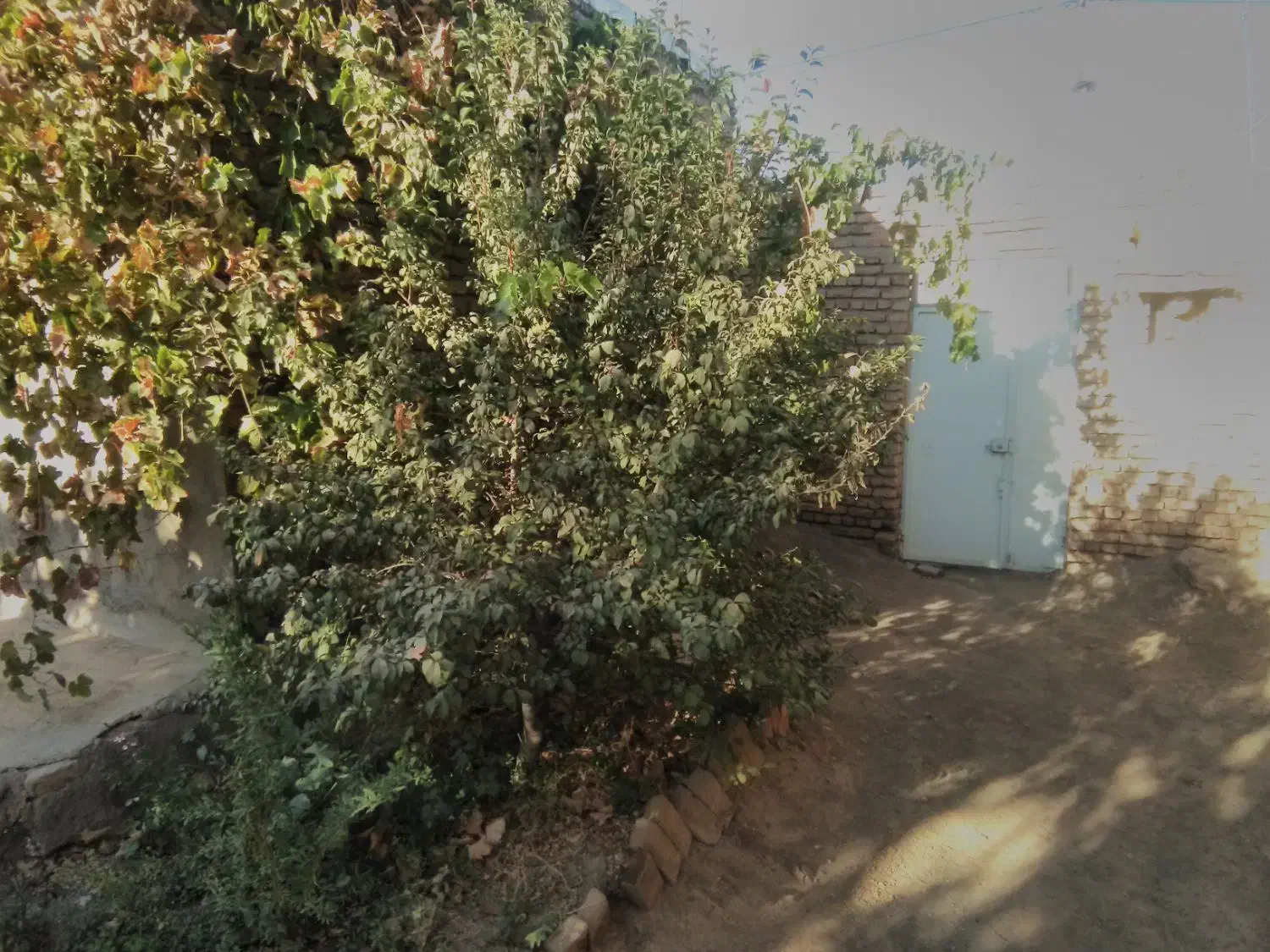 منزل ویلایی|فروش خانه و ویلا|جوین, |دیوار