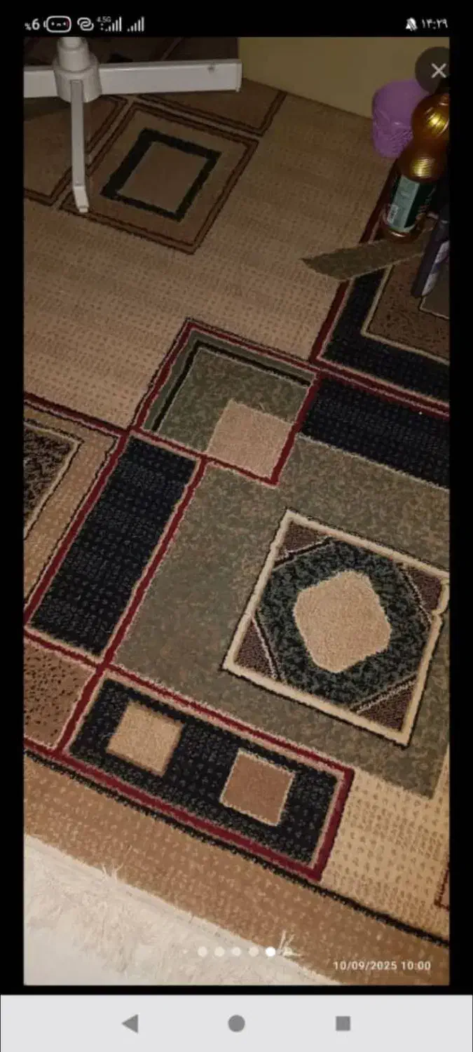 قالی۱۲متری|فرش|ایذه, |دیوار