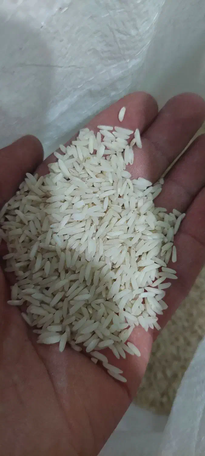 برنج هاشمی درجه ۱|خوردنی و آشامیدنی|تهران, شهید رجایی|دیوار