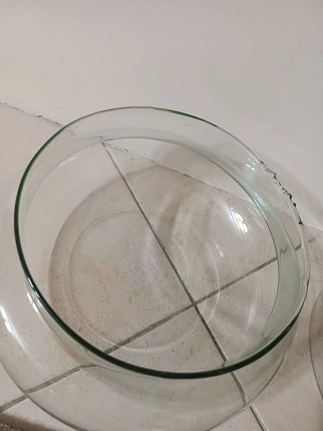 تنگ شیشه ای برای گل با قیمت مناسب|گل و گیاه طبیعی|تهران, شهرک فردوس (حسینی)|دیوار