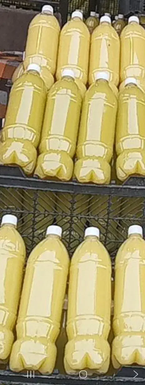 پخش آبلیمو آبغوره زیتون|خوردنی و آشامیدنی|تهران, میدان میوه و ترهبار مرکزی|دیوار