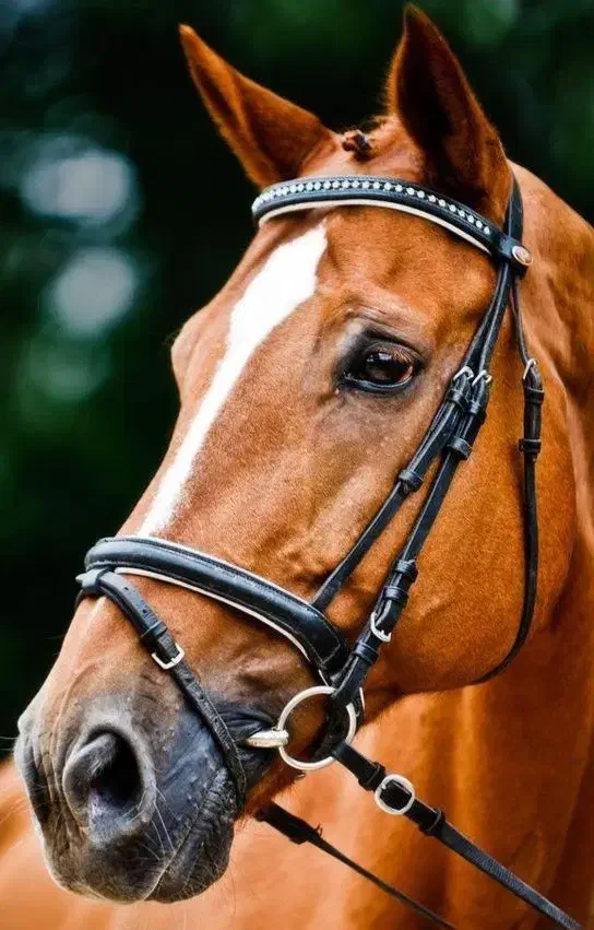 آموزش نقاشی کودکان و بزرگسالان|خدمات آموزشی|ساوه, |دیوار