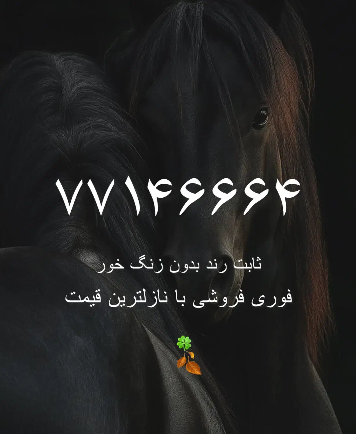 خط ثابت رند|تلفن رومیزی|تهران, تهرانپارس شرقی|دیوار