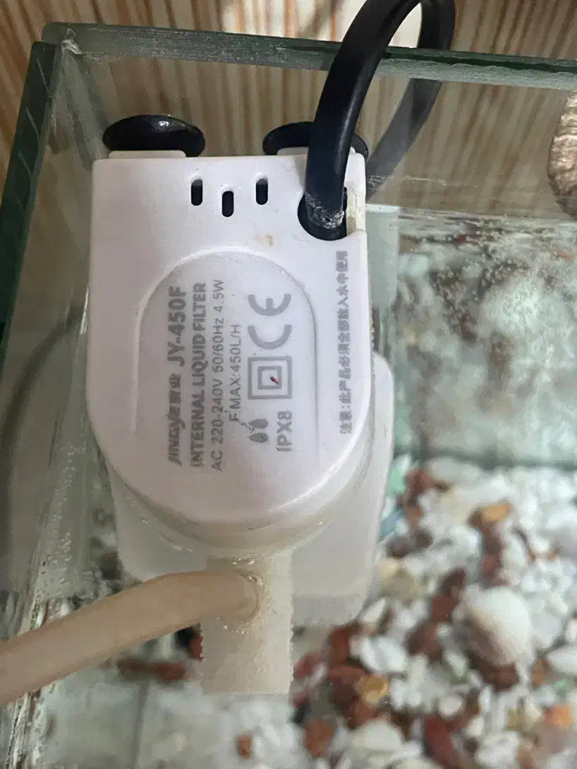 فیلتر تصفیه و هوا|ماهی|نوشین شهر, |دیوار