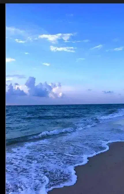 توروچارتر|تور و چارتر|سبزوار, پاسداران|دیوار