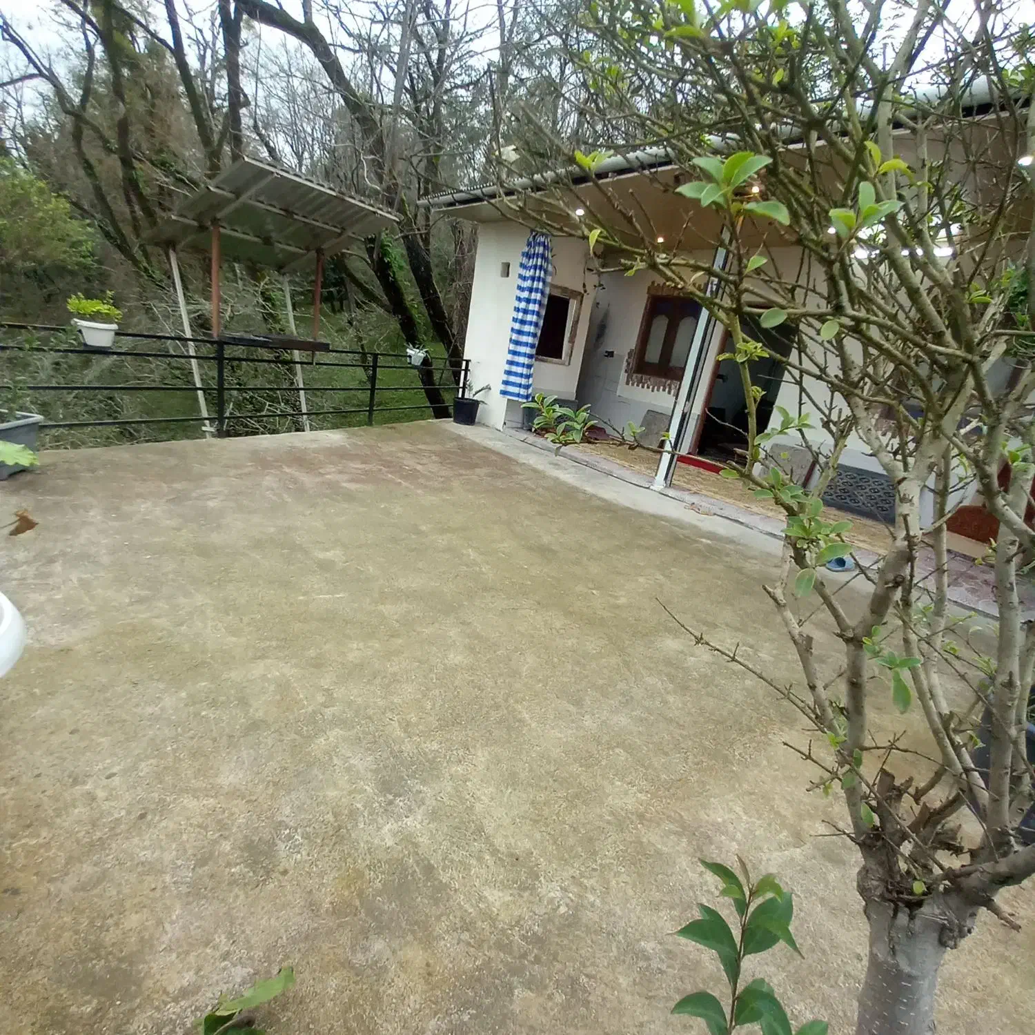 اجاره ویلا تودل جنگل باویوی ابدی|اجارهٔ کوتاهمدت ویلا و باغ|گلوگاه بابل (گلیا), |دیوار