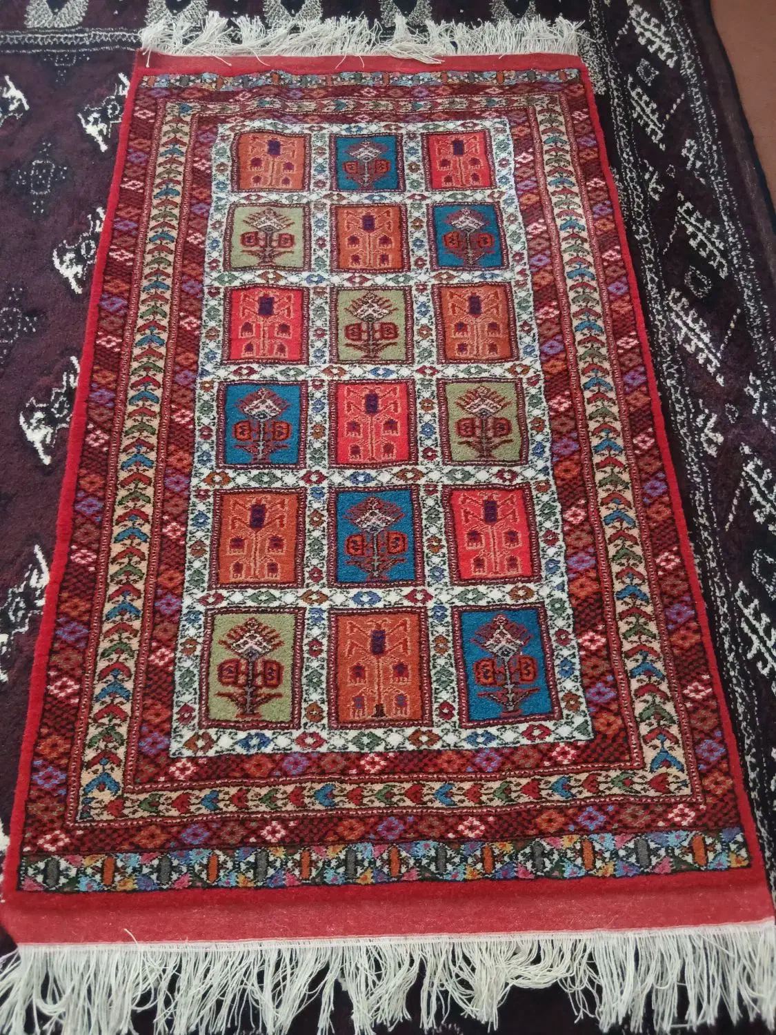 قالیچه تازه بافت|فرش|گنبد کاووس, |دیوار