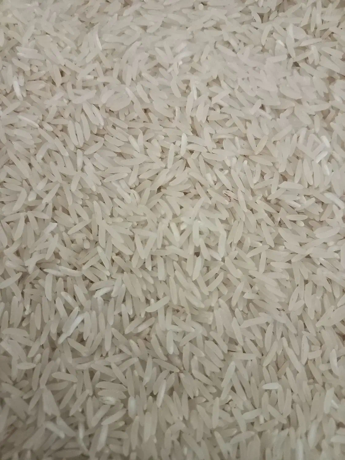 برنج فجر سوزنی معطر سورت شده به شرط پخت|خوردنی و آشامیدنی|خان ببین, |دیوار