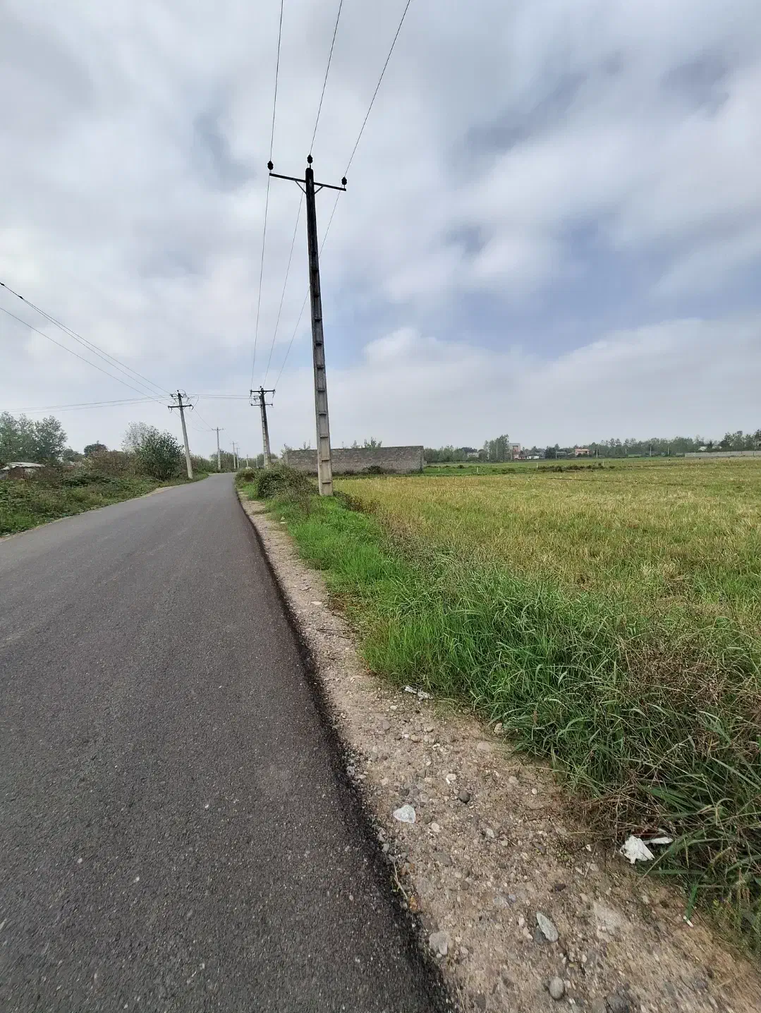 فروش زمین ۶۰۰ متر فرهنگیان برجاده|فروش زمین و ملک کلنگی|رشت, سیا اسطلخ|دیوار