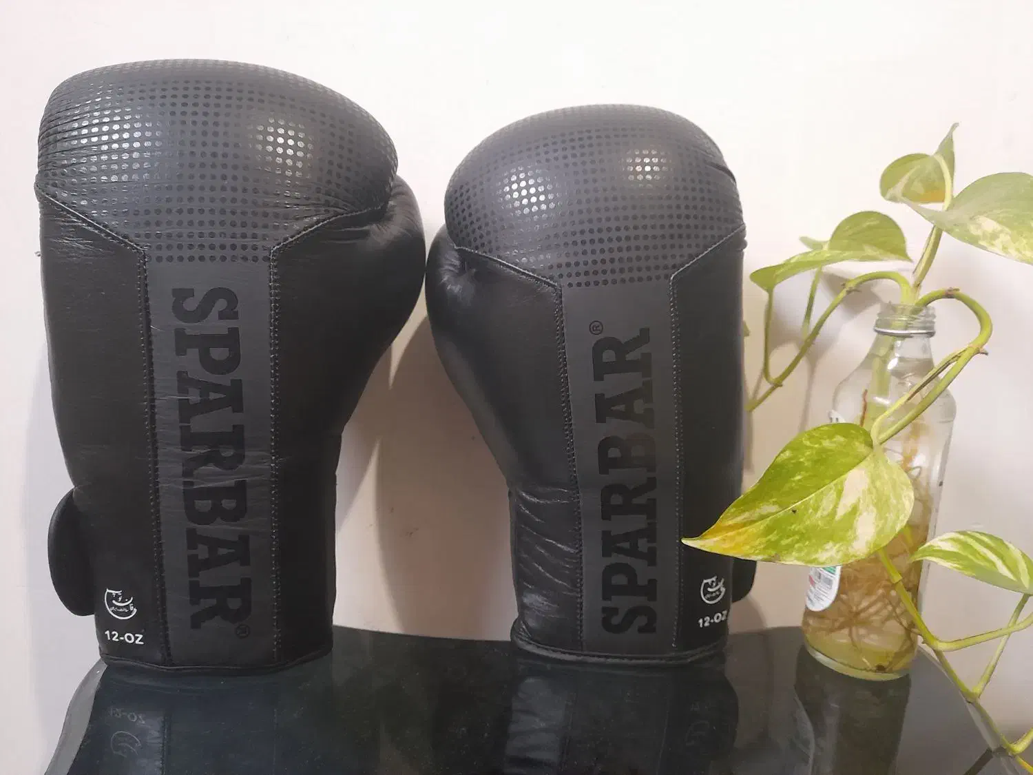 دستکش بوکس حرفه ای SPAR BAR|تجهیزات ورزشی|رشت, منظریه|دیوار