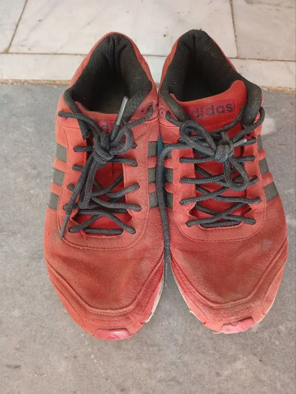 کفش آدیداس|کیف، کفش، کمربند|گنبد کاووس, |دیوار