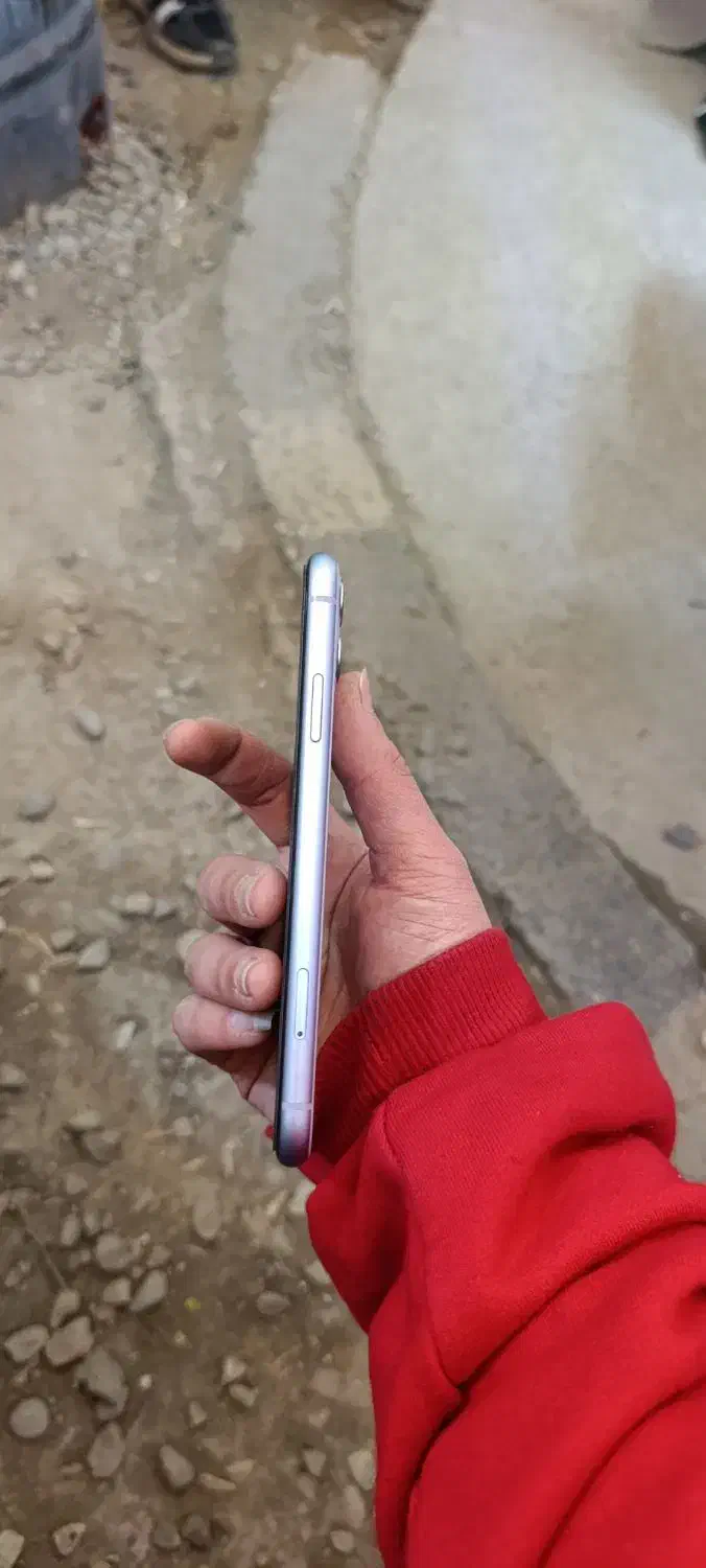 iphone 11|موبایل|فومن, |دیوار