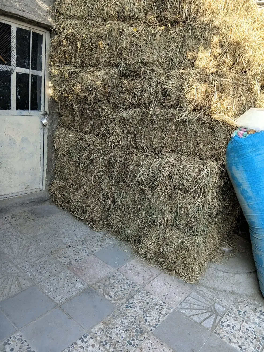 پرس برنج|لوازم جانبی حیوانات|بروجرد, |دیوار