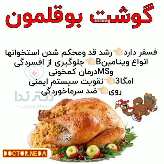 بوقلمون گوشتی بیوتی|حیوانات مزرعه|قوچان, |دیوار