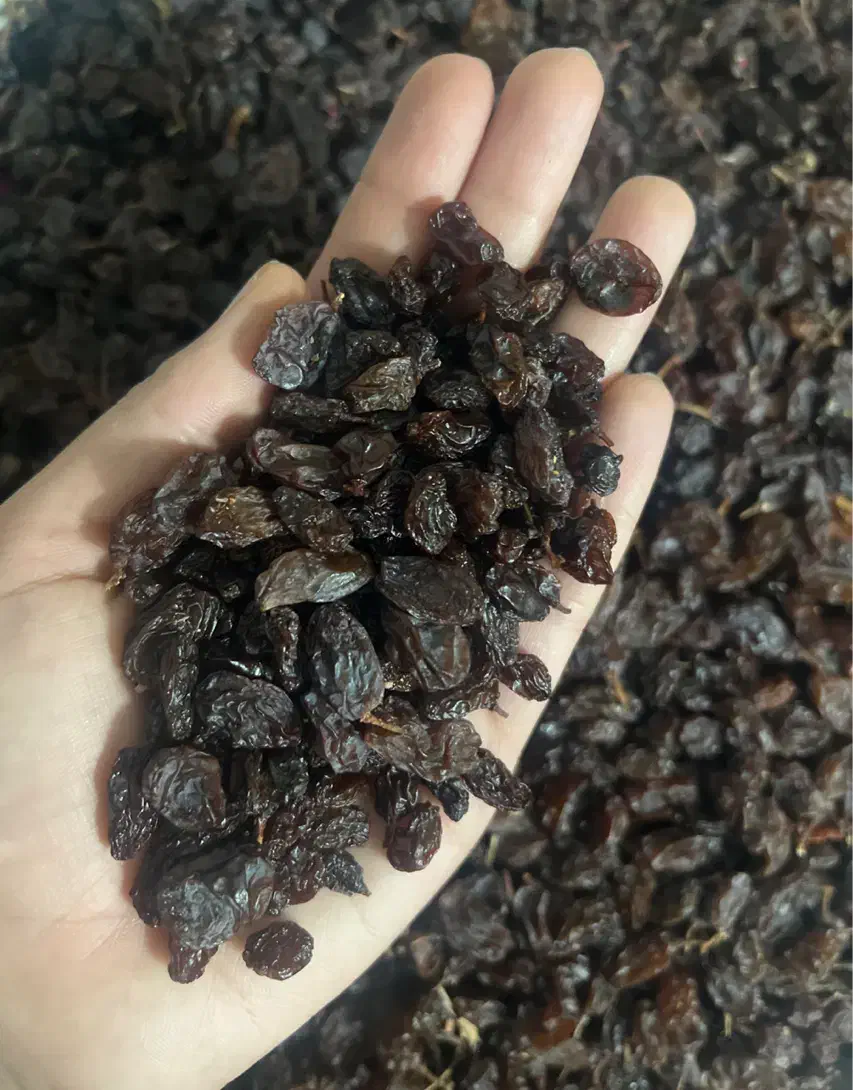 کشمش افتابی بدون هورمون انگور قرمز کاملا بهداشتی|خوردنی و آشامیدنی|ارومیه, |دیوار