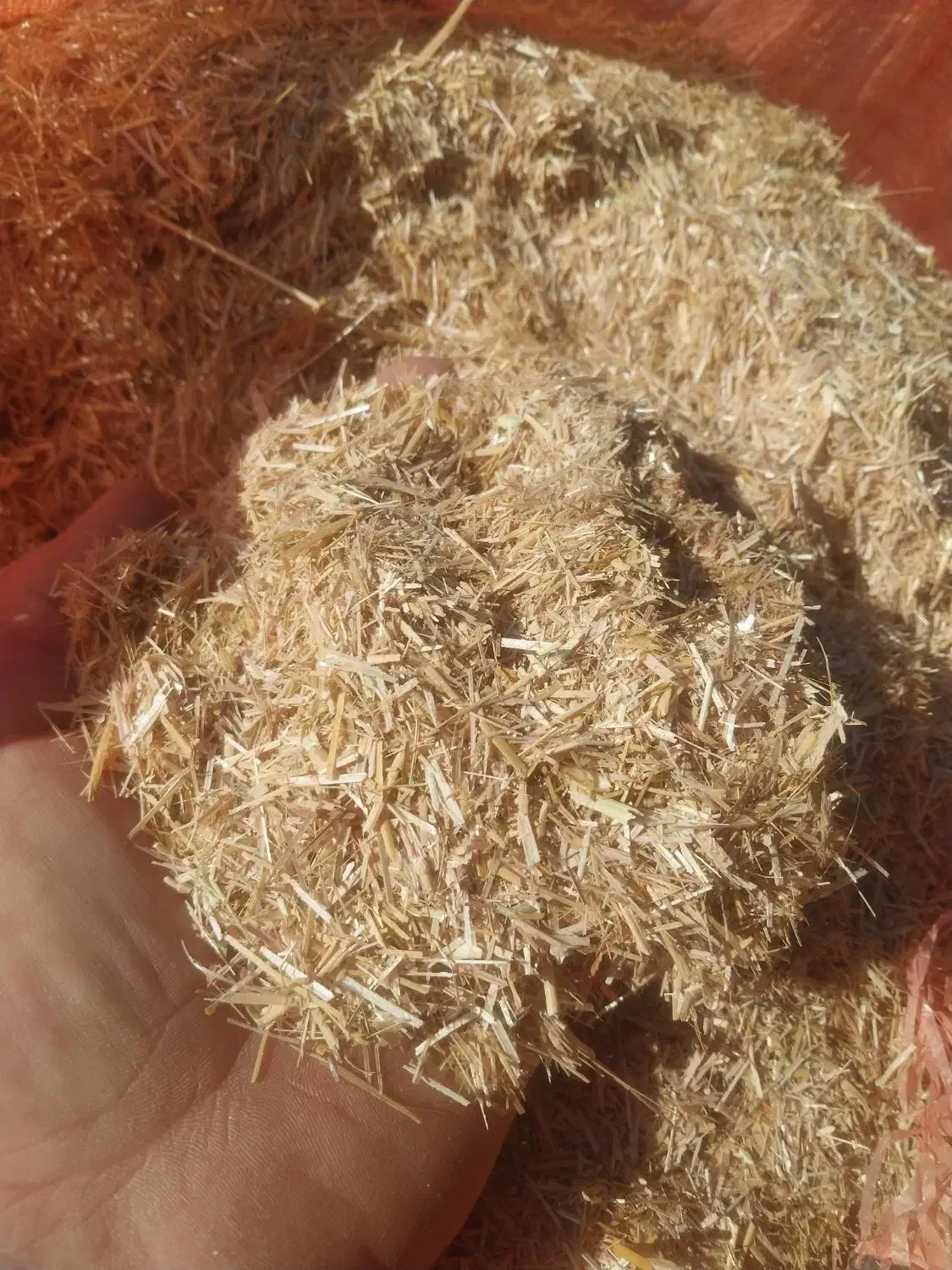 کاه سفید درجه یک|لوازم جانبی حیوانات|گنبد کاووس, |دیوار