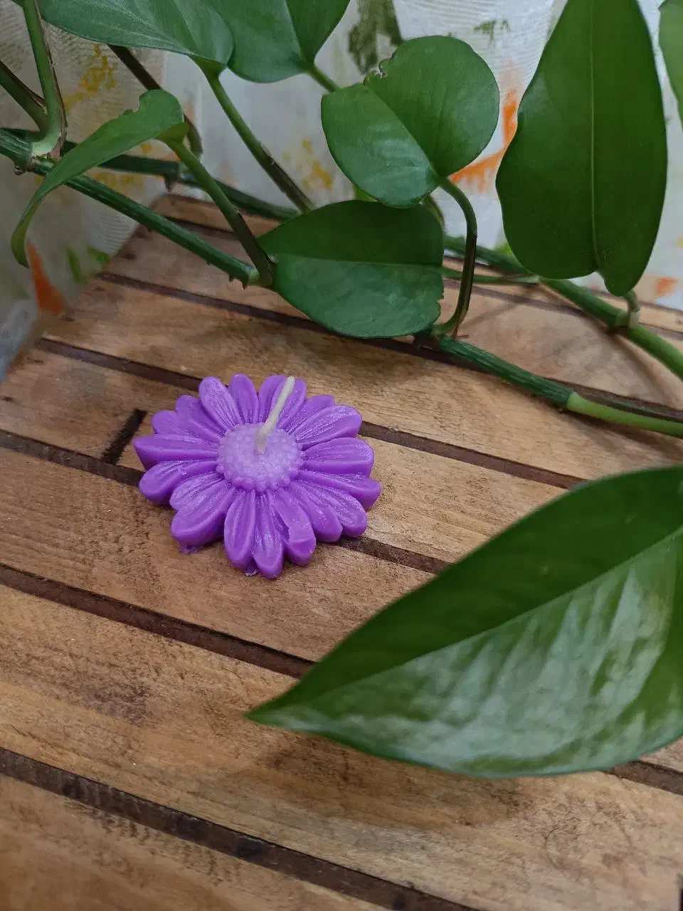 ساخت شمع|صنایع دستی و سایر لوازم تزئینی|جهرم, |دیوار