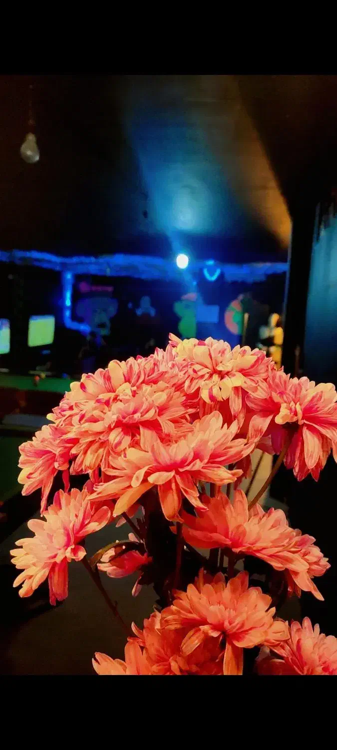 ملک تجاری زیر زمین|اجارهٔ مغازه و غرفه|فولادشهر, B4|دیوار