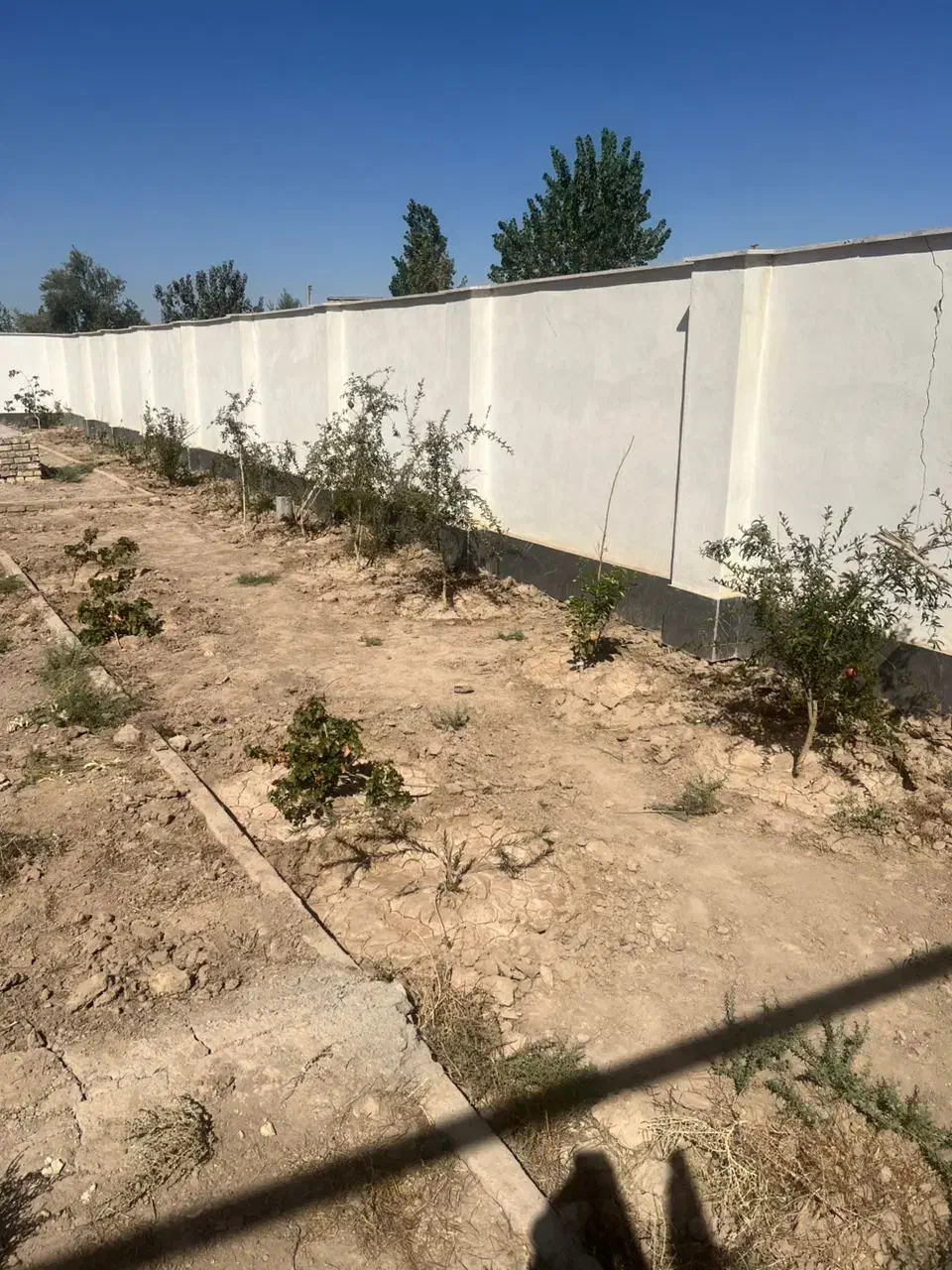 زمین ویلایی درختکاری دیوارکشی یزدآباد اقساطی|فروش زمین و ملک کلنگی|کاشان, یزد‌آباد|دیوار