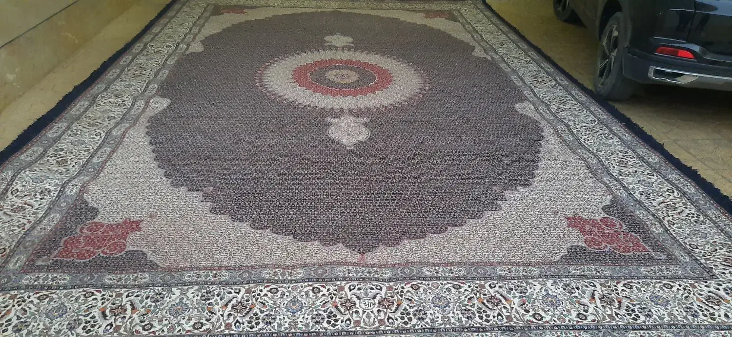 فرش دستباف ۲۴متری بی نظیر|فرش|بیرجند, |دیوار