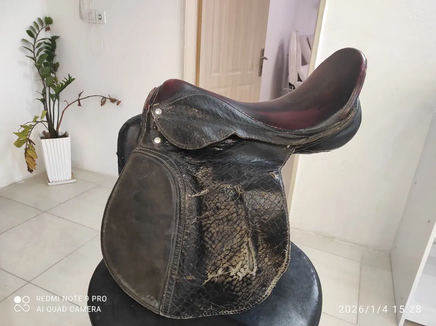 زین پرشی|اسب و تجهیزات اسبسواری|تهران, ایران|دیوار