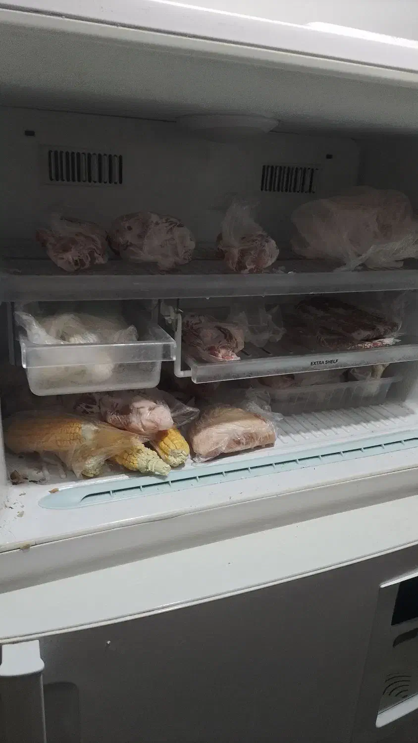 یخچال فریزر دو درب|یخچال و فریزر|مشهد, رده|دیوار