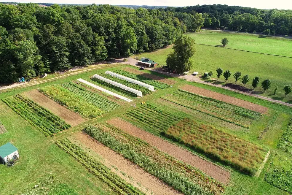 زمین 450 متری|فروش زمین و ملک کلنگی|ساروق, |دیوار