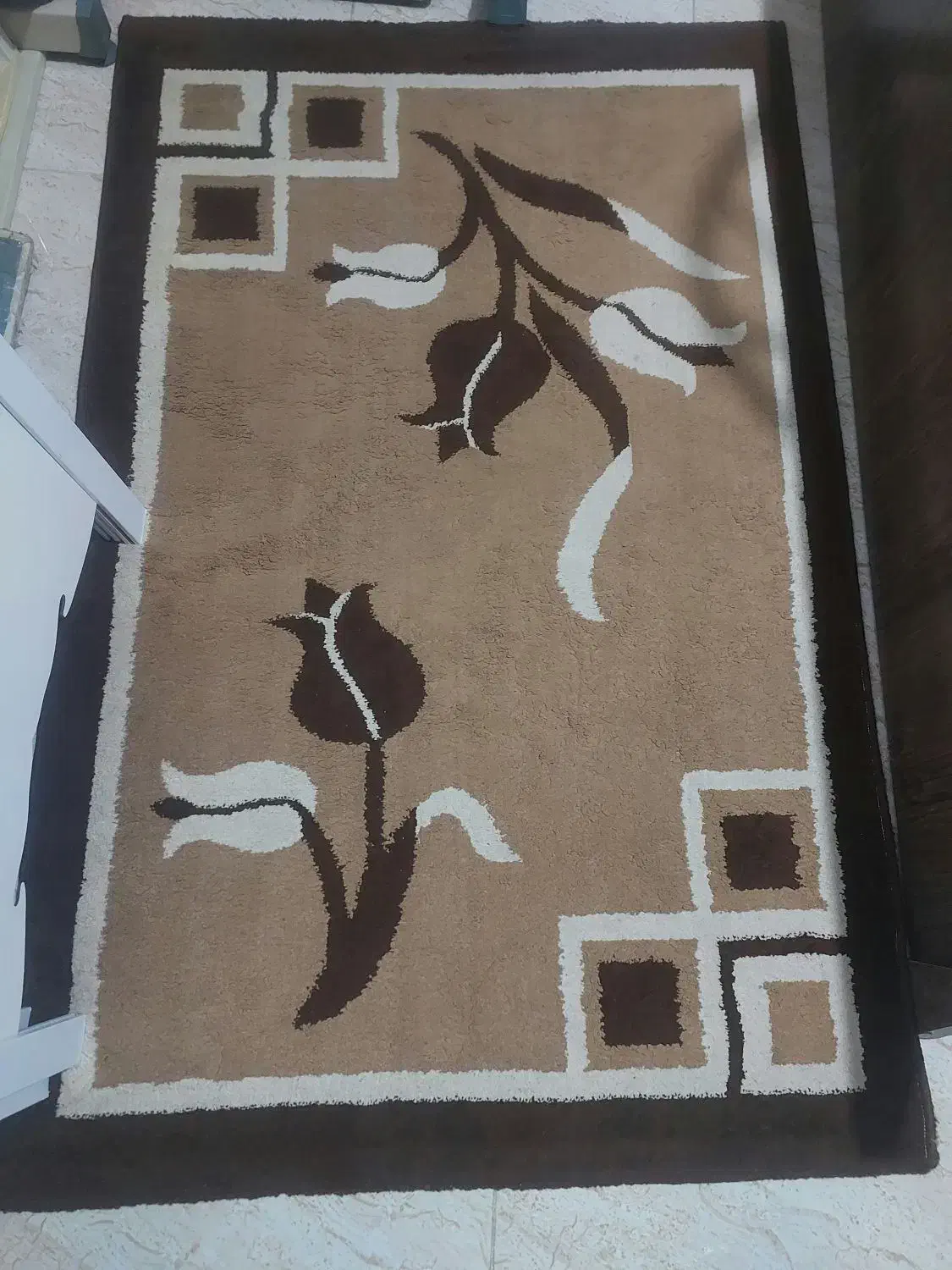 قالیچه و پادری|فرش|رشت, یخسازی|دیوار