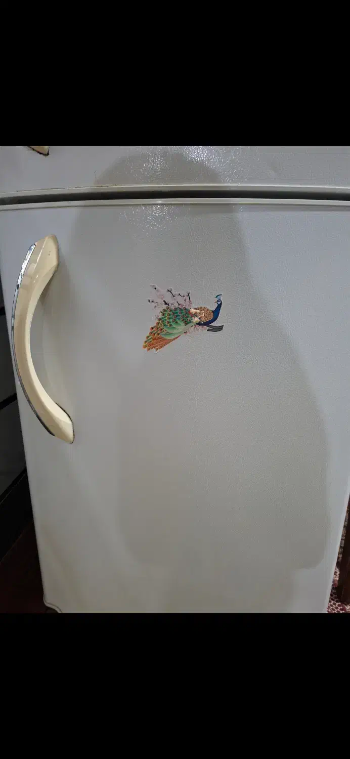 یخچال فریزر|یخچال و فریزر|ماسال, |دیوار