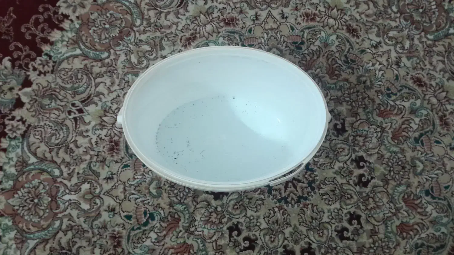 تعداد۱۰۰عددسطل۵کیلوی|ظروف نگهدارنده، پلاستیکی، یک‌بارمصرف|مشهد, نوید|دیوار