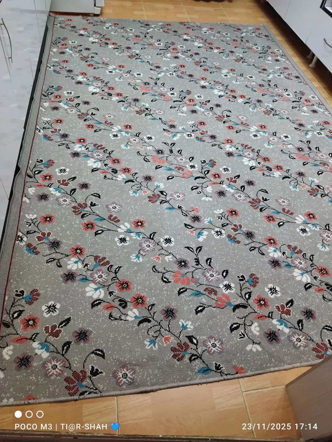 گلیم شش متری|گلیم، جاجیم، گبه|سنندج, |دیوار