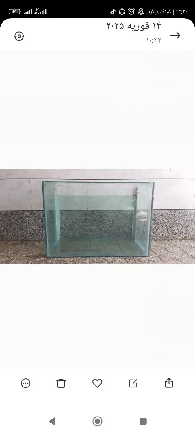 آکواریوم|ماهی|ابریشم, |دیوار