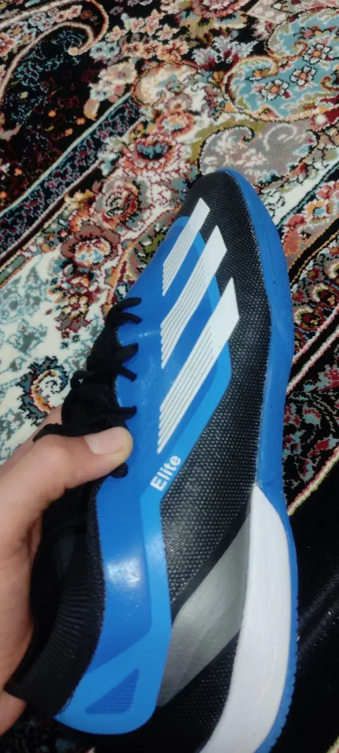 کفش فوتسال برند آدیداس|ورزش‌های توپی|قم, ولیعصر|دیوار