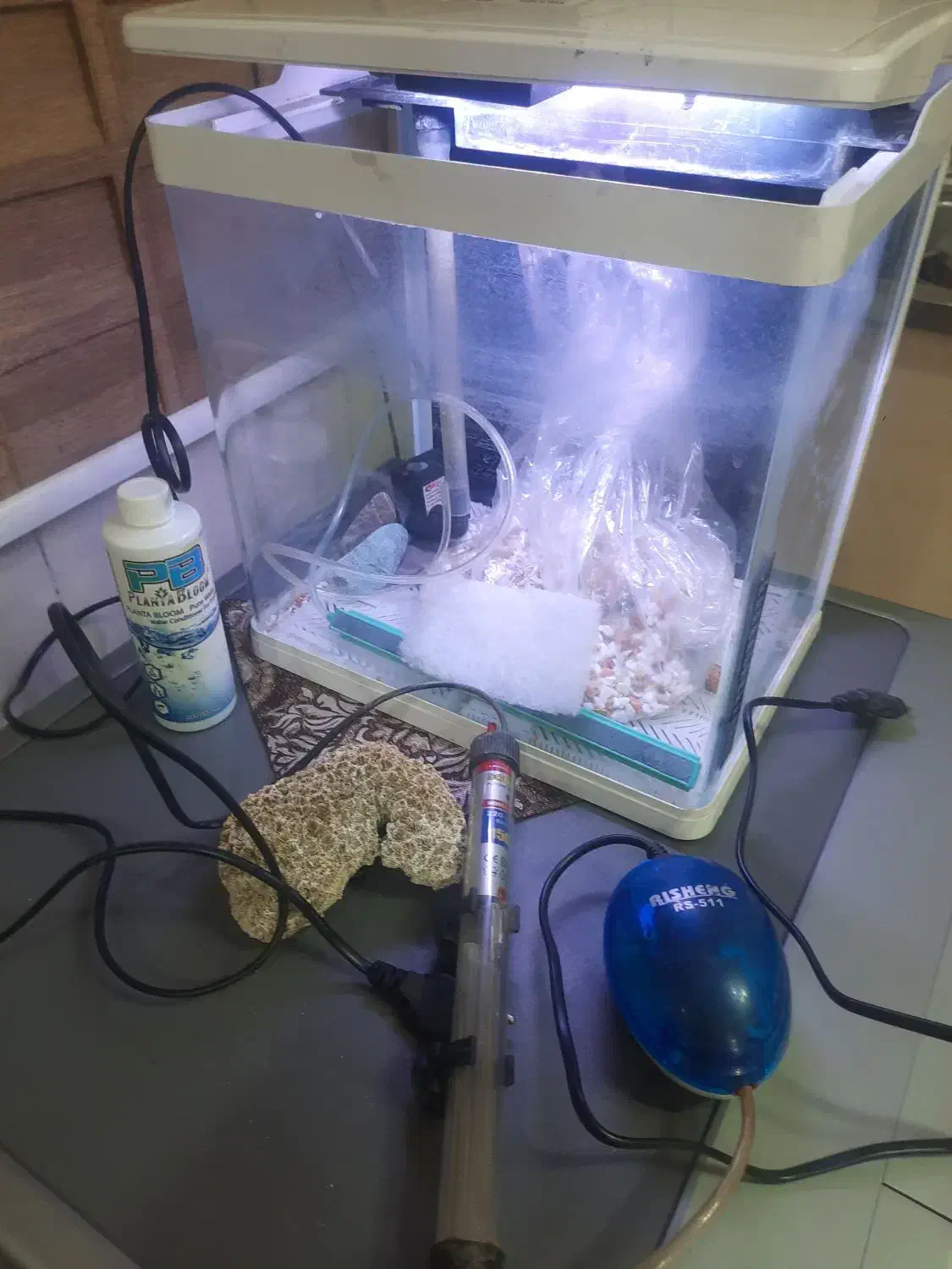 آکواریوم با تمام متعلقات|ماهی|تهران, دکتر هوشیار|دیوار