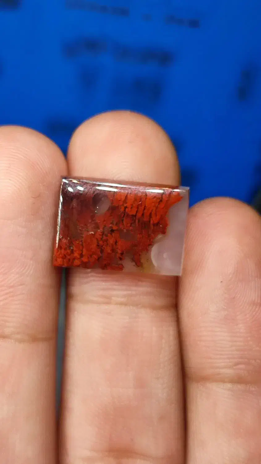 نگین شجر و سلیمانی|جواهرات|فردوس (خراسان), |دیوار