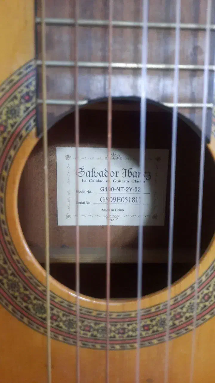 گیتار ایبانز|گیتار، بیس، امپلیفایر|شهریار, شهریار|دیوار