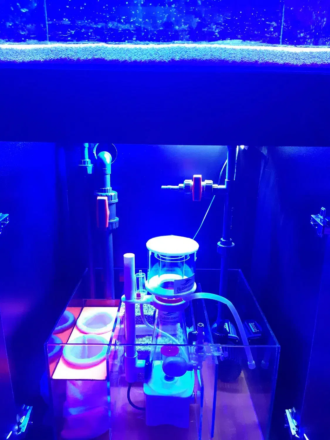 آکواریوم آب شور|ماهی|تهران, سلسبیل شمالی|دیوار