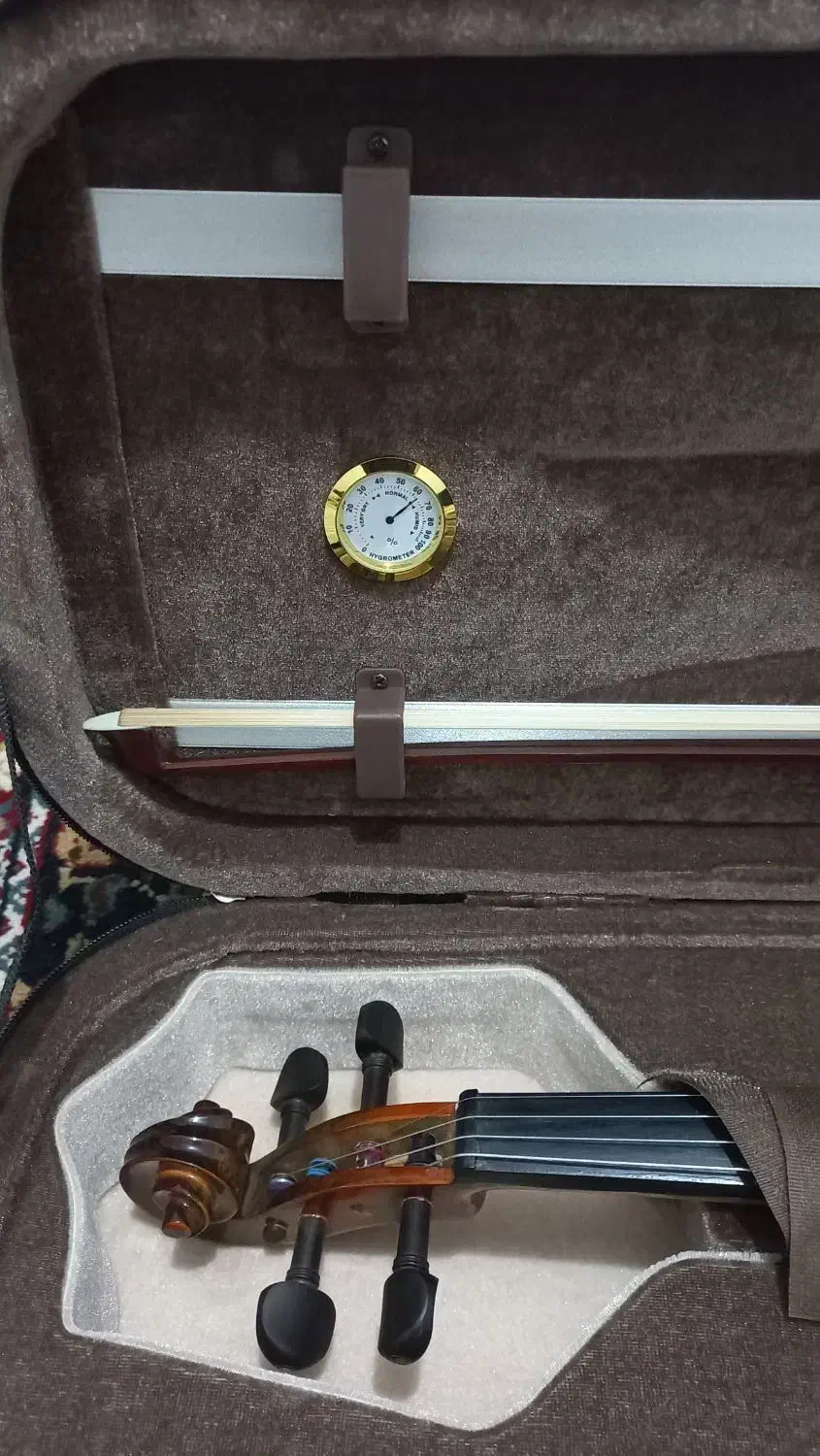 فروش ویولن|ویولن|فردیس, فردیس|دیوار