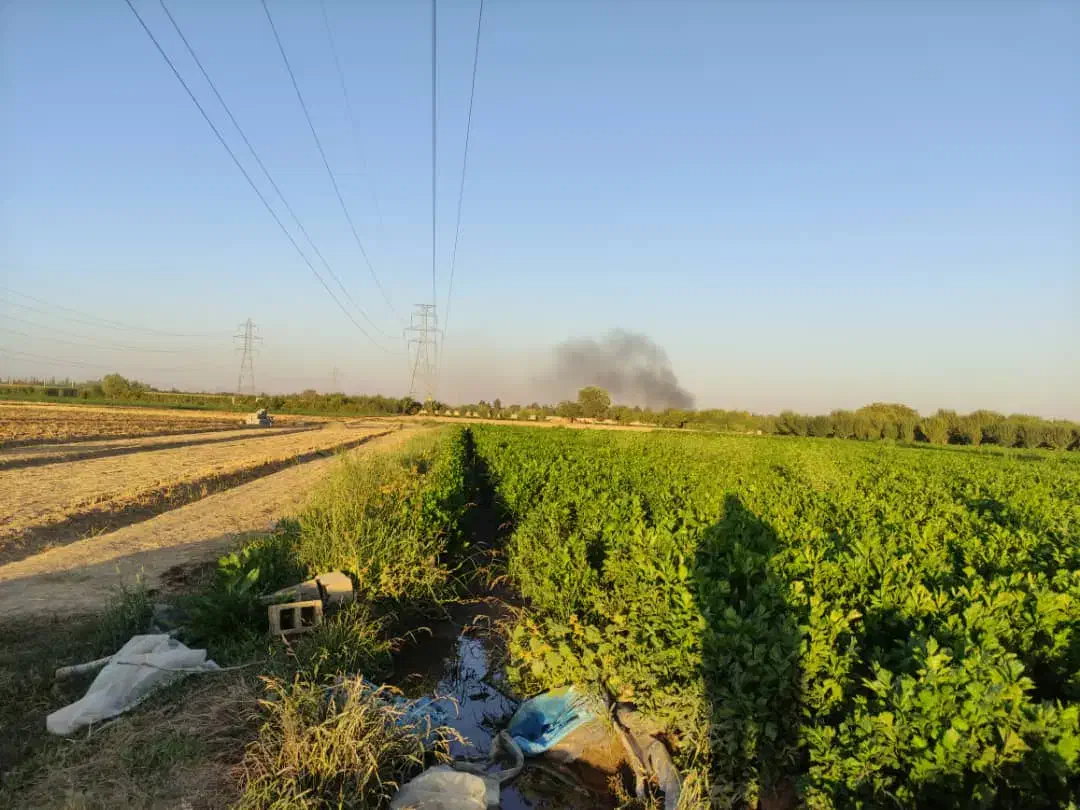 اجاره زمین کشاورزی در جاده سرچم|اجارهٔ دفتر صنعتی، کشاورزی، تجاری|میاندوآب, |دیوار