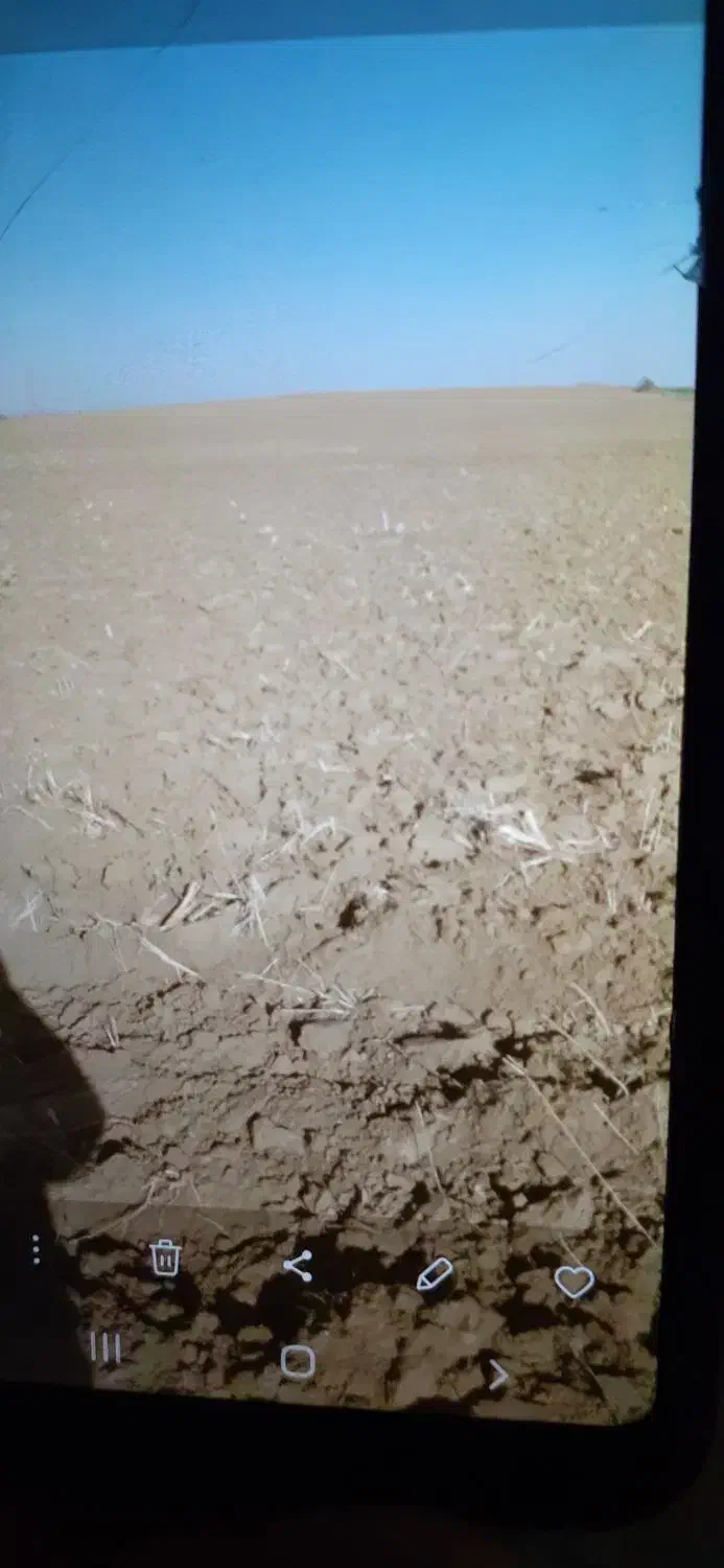 اجاره زمین کشاورزی|اجارهٔ دفتر صنعتی، کشاورزی، تجاری|میاندوآب, |دیوار